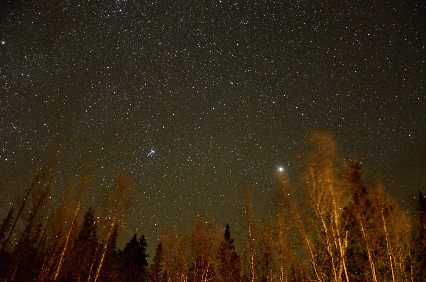 stjernehimmel.jpg